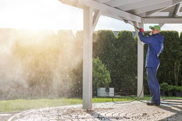 Best Dumpster Area Cleaning  in Anderson, IN